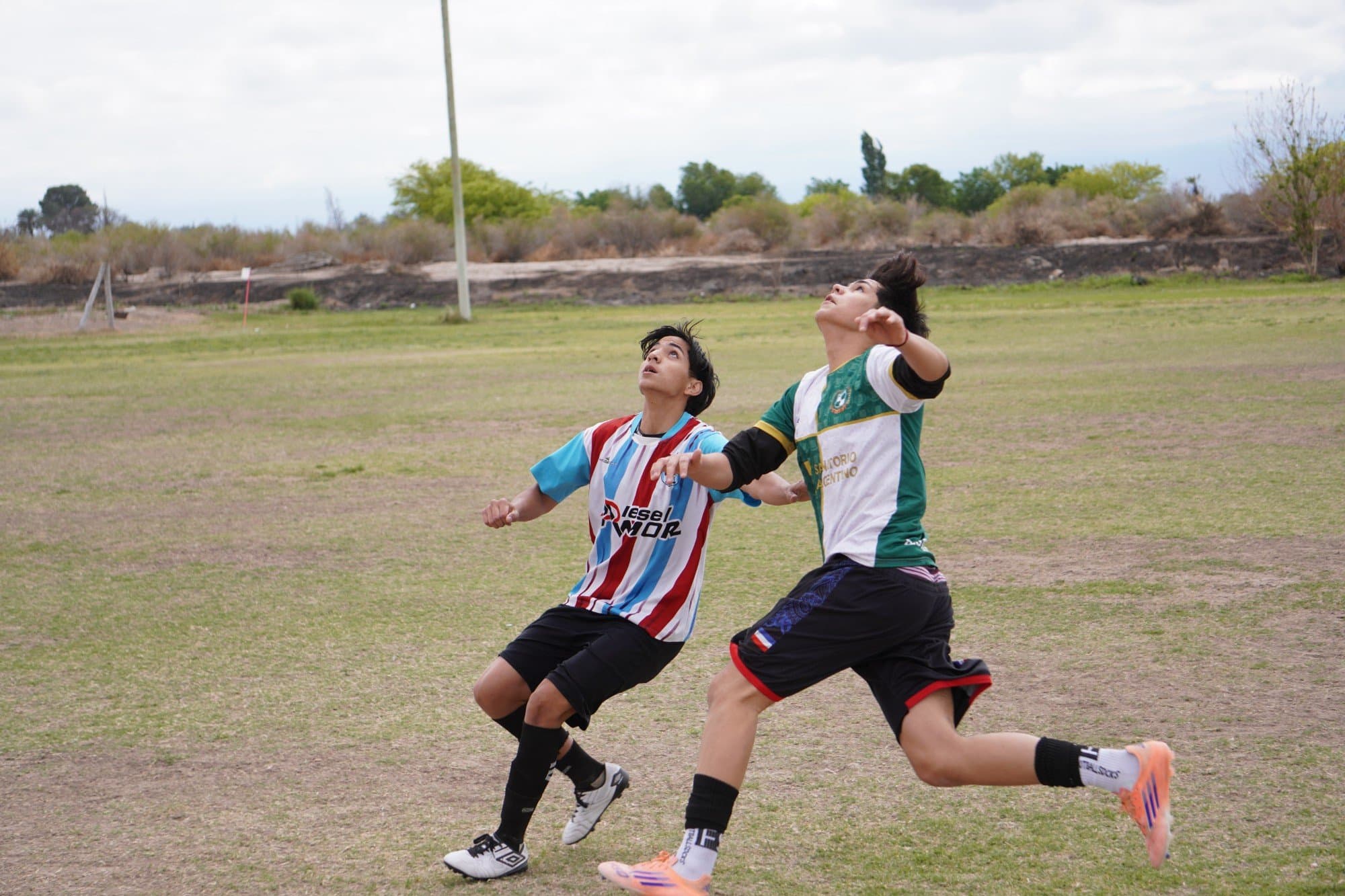 ALIANZA VS ESTUDIANTIL - SUB 17