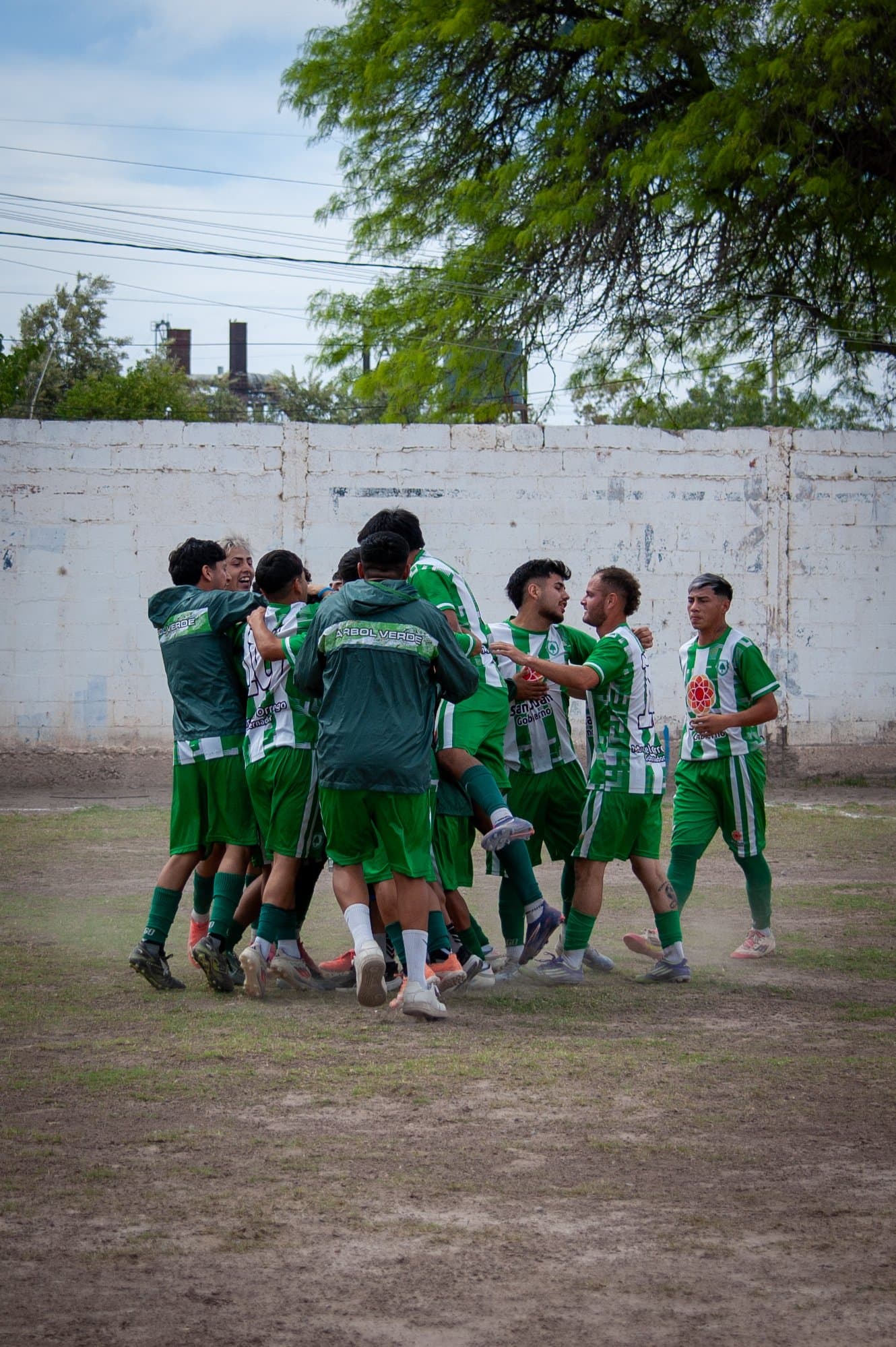 Arbol Verde